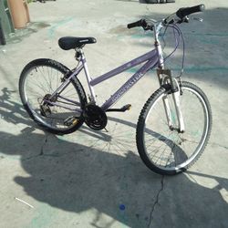 Adult Bike Roadmaster 