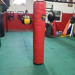 Kickboxing Punching Bag 