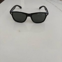 Wayfarer Style Sunglasses