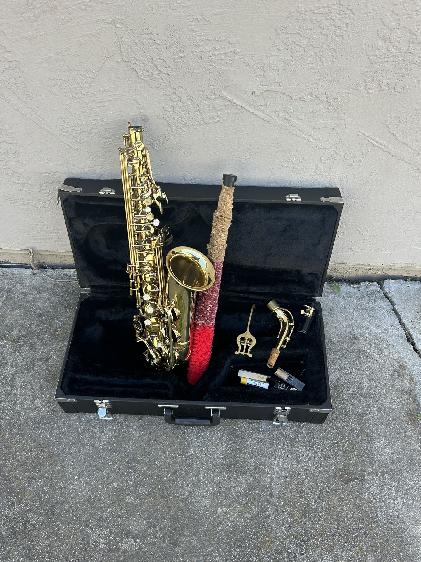 Nice 😊 Alto Saxophone 🎷 Cecilia
