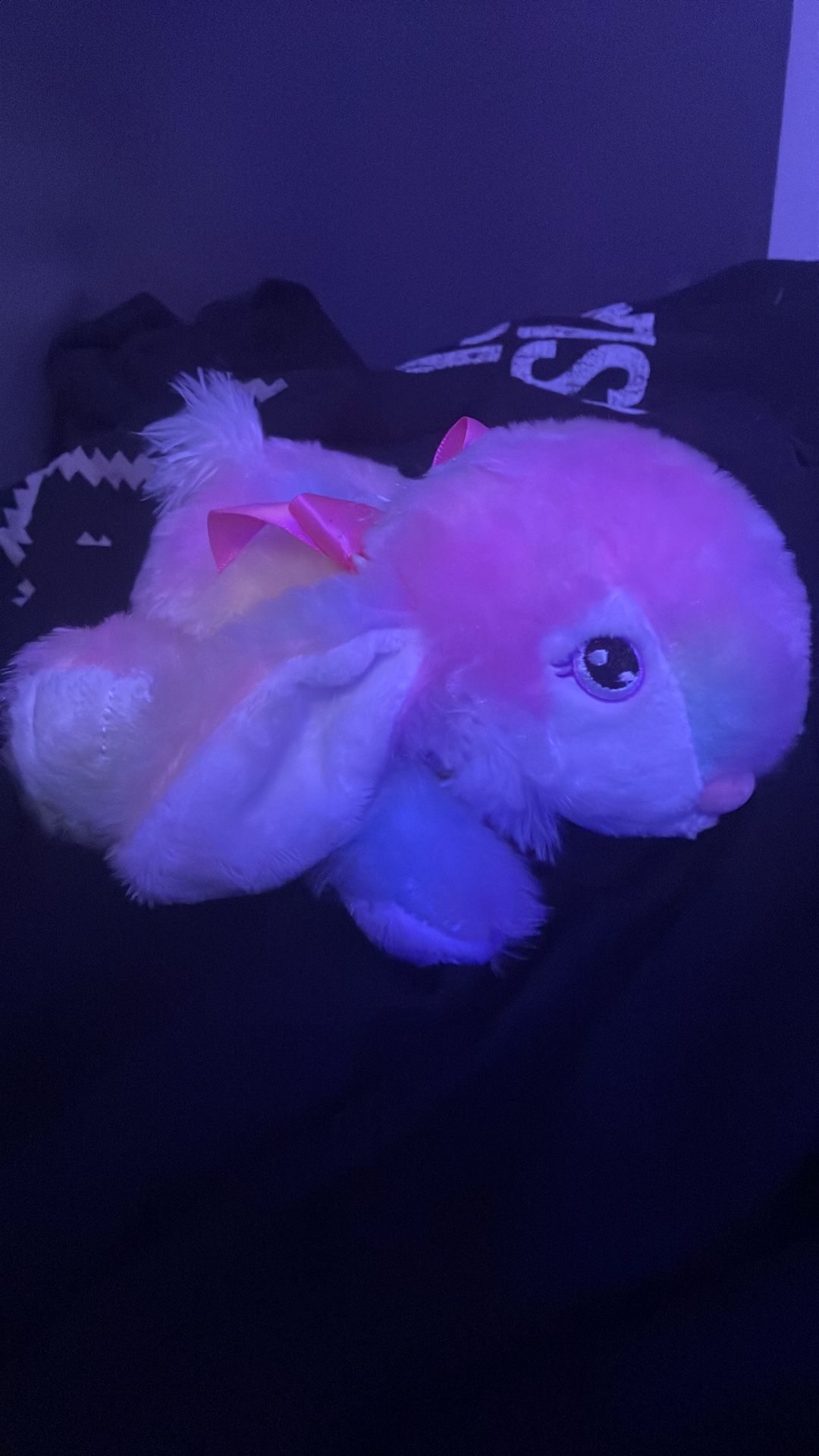 Cute Bunny