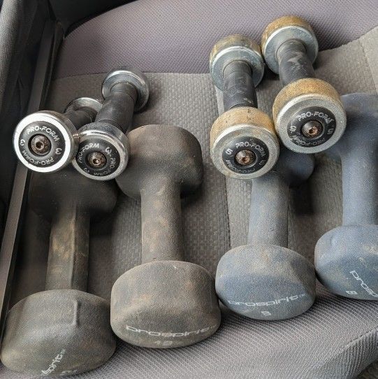 Dumbbells/ Kettlebell 