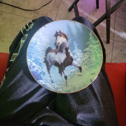 Collectibles  plate 