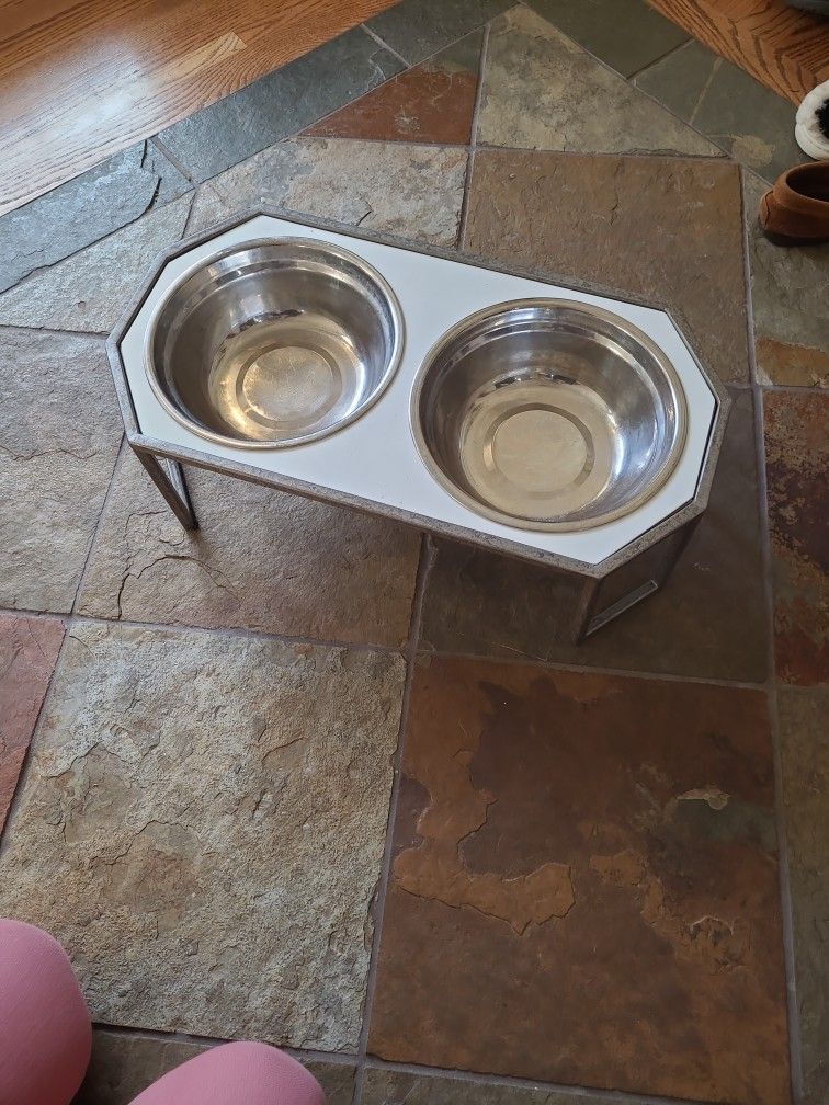 Dog Water And Foot Bowl Tray! 