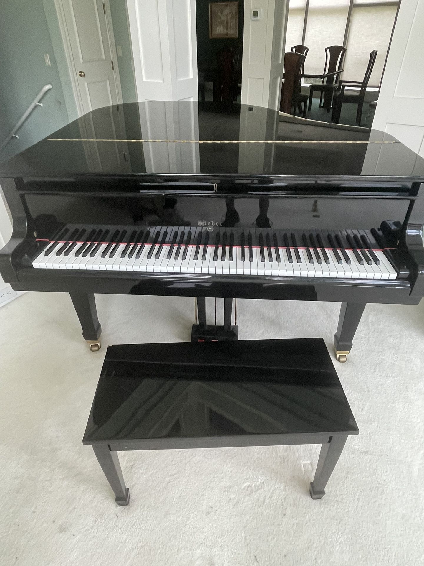 Baby Grand Weber 150