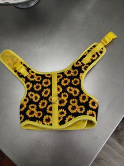 Dog Halter small