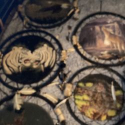 Five. Dream Catchers.