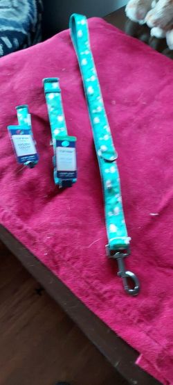 Dog Leash And Collar