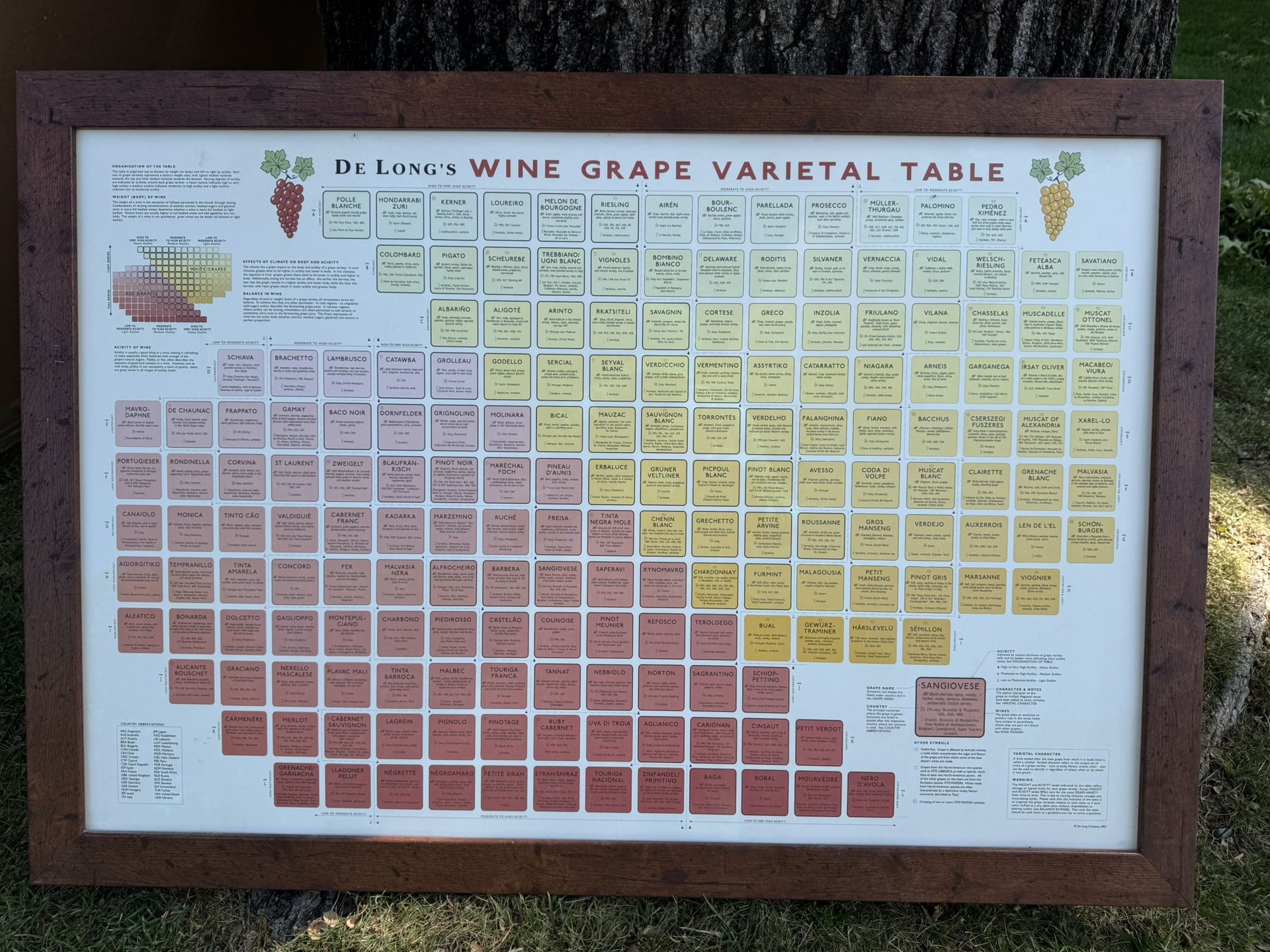 Wine Periodic Table