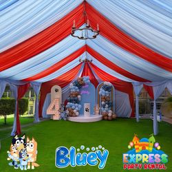 Bluey Canopy 20x20