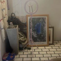 Ring Iight Kit With Tripod For Any Phone