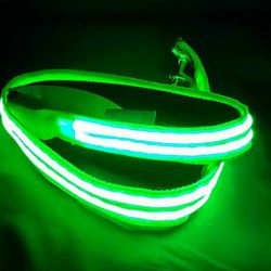 BRAND NEW Rechargeable Illumiseen Hi-Viz 4'Light Up Dog Leash