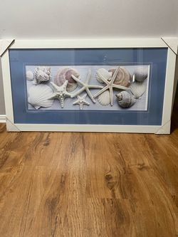Shell picture