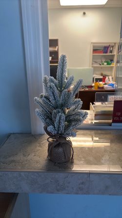 Christmas decor