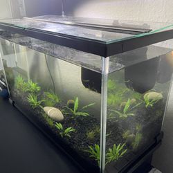 10 Gallon Tank  With Lid, Ask Abt Price