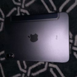 iPad Mini