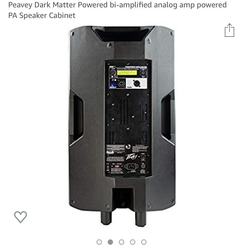 15” professional speaker
