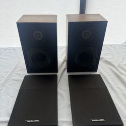 Vintage Realistic Speakers