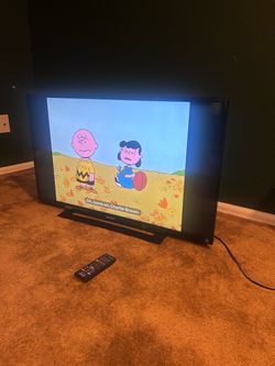 Sony 40” LCD TV and iPhone iPad HDMI Adapter