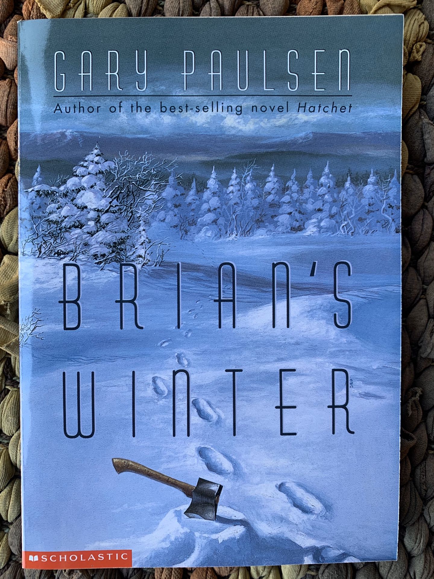 Class Set - Brian’s Winter by Gary Paulsen