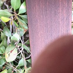 IPE Wood deck wood workers