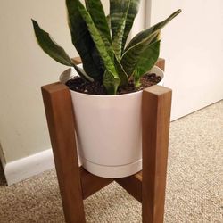 Adjustable Wood Plant Stand