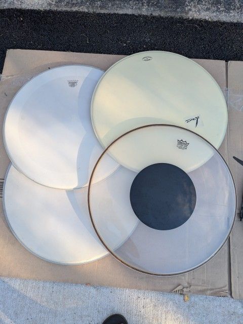 Drum Heads 
