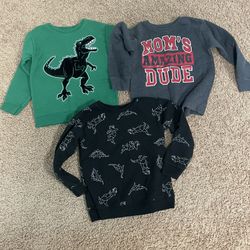 Bundle of 3 fleece boys shirts size 5T.