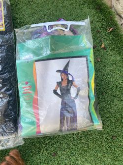 Halloween costume and hair extensions