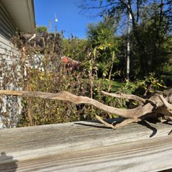 One Large Driftwood Piece (Baked For Aquarium Use Or Home Decor)