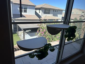 2pc Cat Window Steps - New