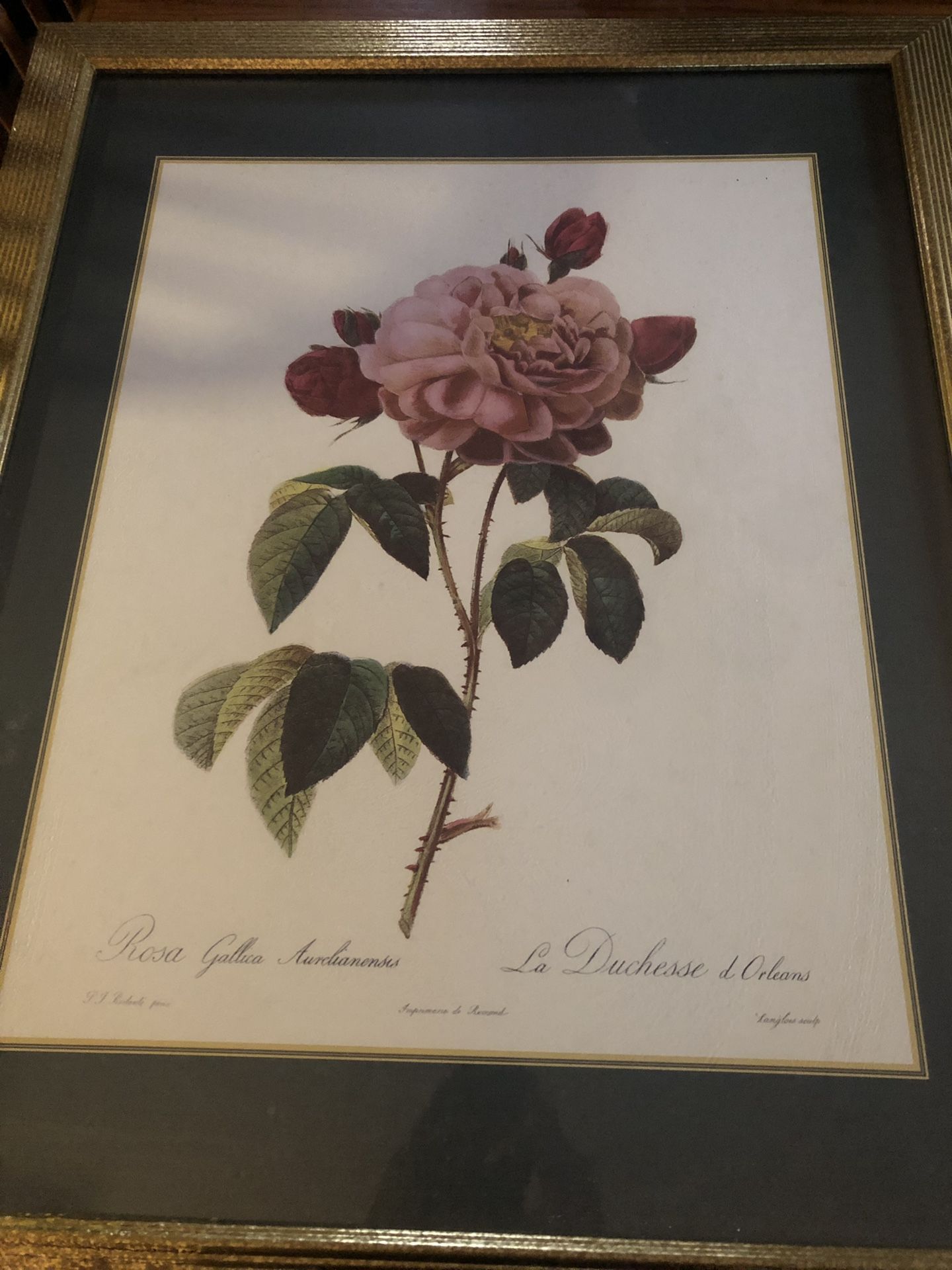 Framed floral print needs new frame