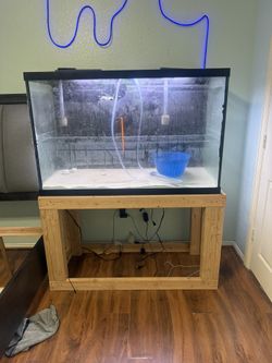 110 Gallon Fish Tank Fully Loaded