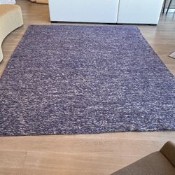 Luxury Restoration Hardware Area Rug – 12x9 – Priced to Sell