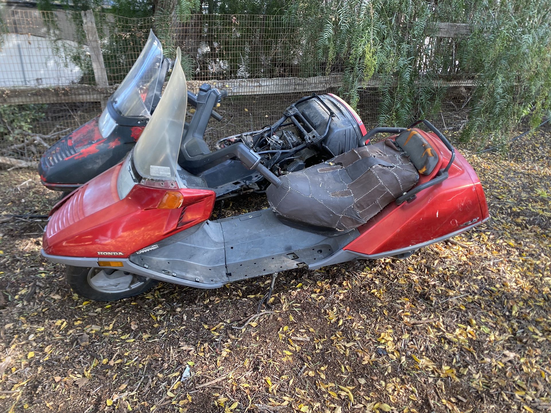 2 Honda Helix