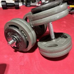 Dumbbell - 40 Lbs each - 80lbs Total