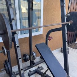 Bench Press 