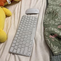 Apple Mac Keyboard And Mouse 