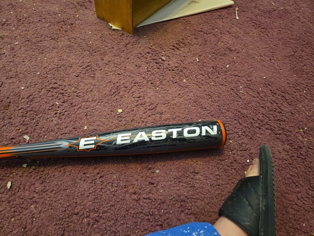 Adult Baseball Bat