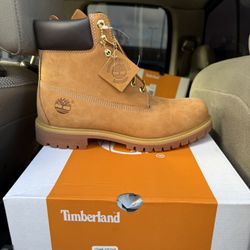 Timberline Boots