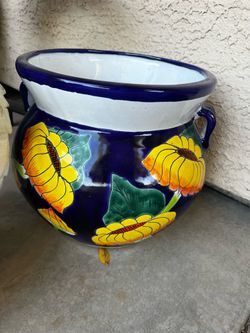 Sunflower Mexican Spanish plant er pink. Ceramic