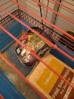 Bunny/guinea pig cage
