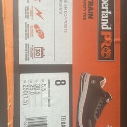 Timberland safety Shoe