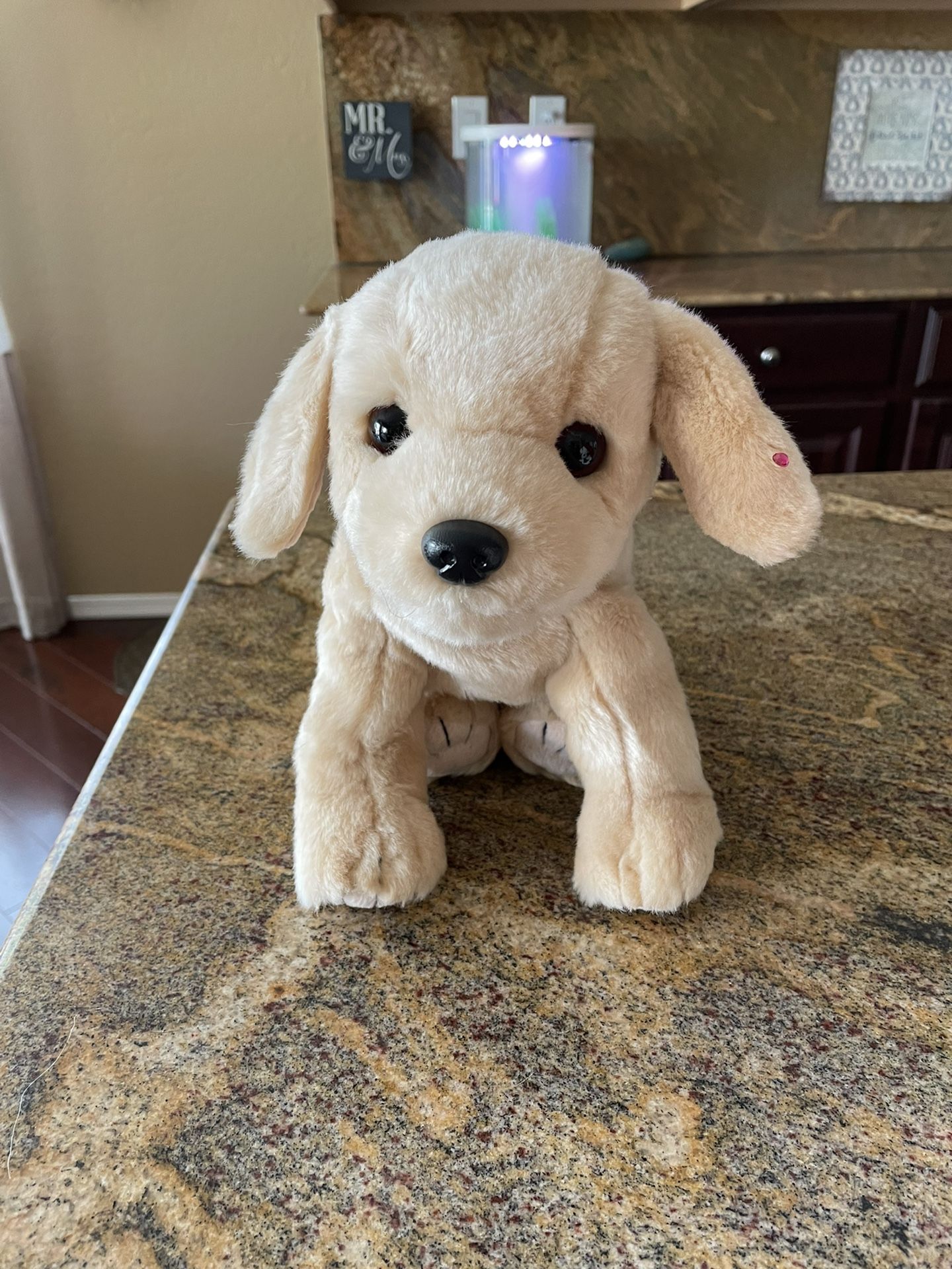 Ty Beanie Buddies $15 Each