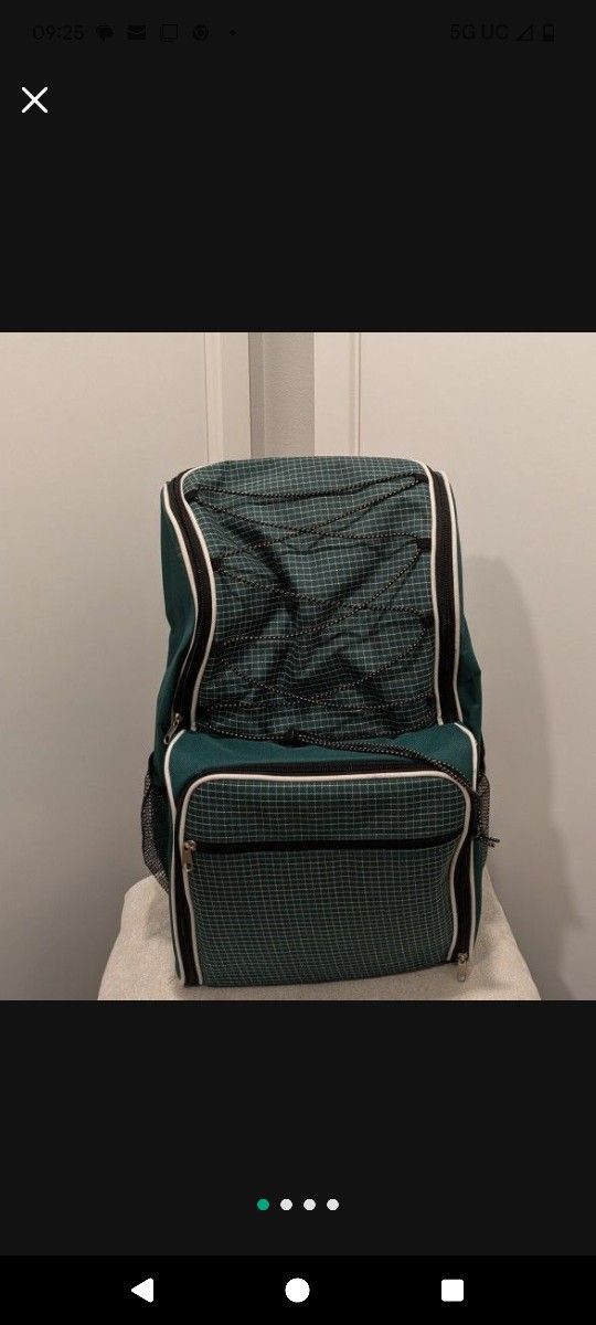 Green Insulated Picnic Lunch Bag Travel Backpack