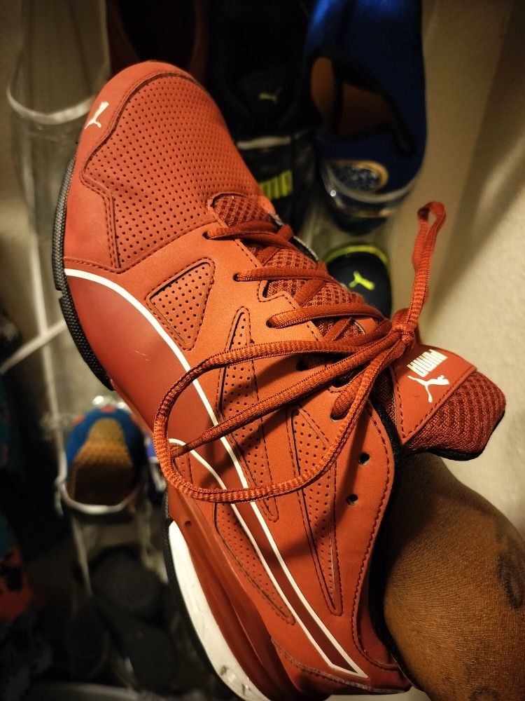 Puma Shoes