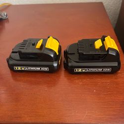 2 12 V Batteries 