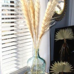 Pompas,Pampas Grass For Sale - Style Eva - Home Decoration, Special Event Design