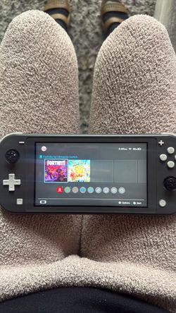Portable Nintendo switch