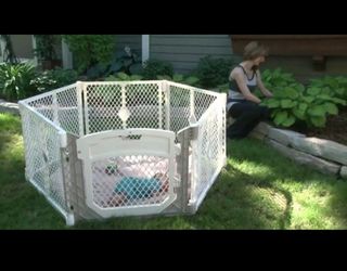 Corral For Kids Dogs Etc